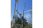 Solution Tree Services LLC thumbnail
