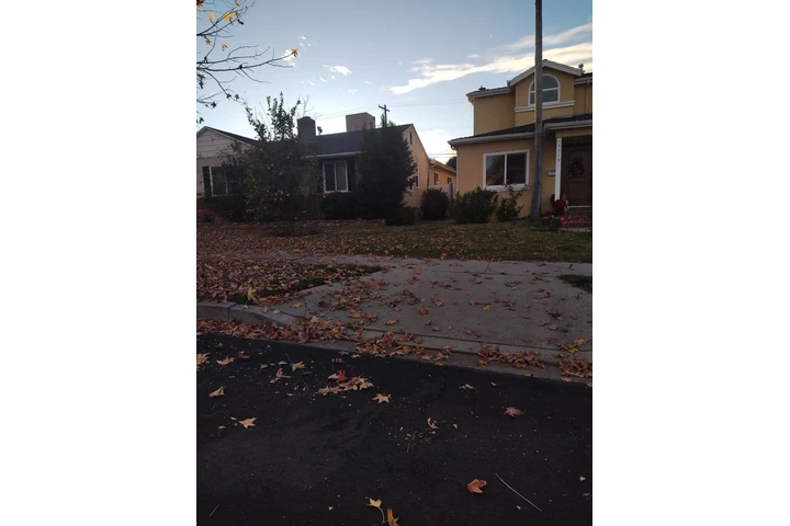 Corte de pasto a domicilio image 5