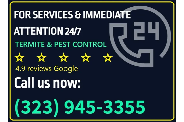 CHRISTMAS FUMIGATIONS 2025🎅 image 2