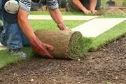 Julio General Landscaping Serv thumbnail 2