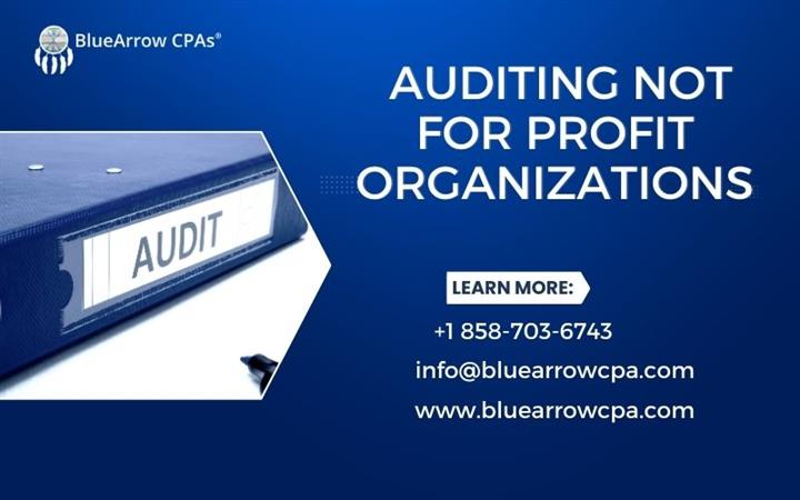 Auditing not for profit org. image 1