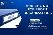 Auditing not for profit org. en San Diego