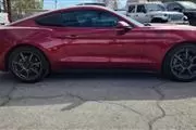 $15995 : 2019 Mustang EcoBoost thumbnail