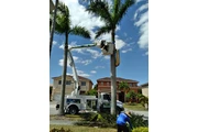 Landscaping en Miami thumbnail