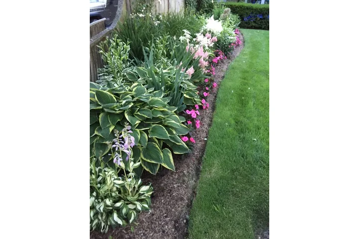 Corte de pasto 🌿👷🏼 image 10