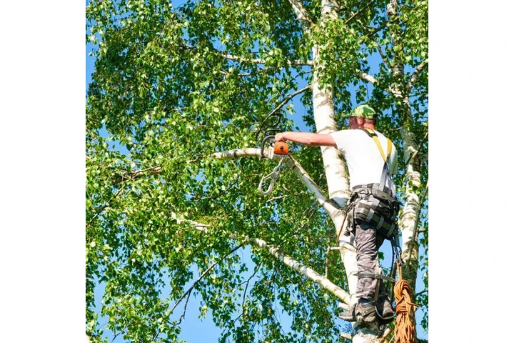 The 3 Brothers Landscaping image 2