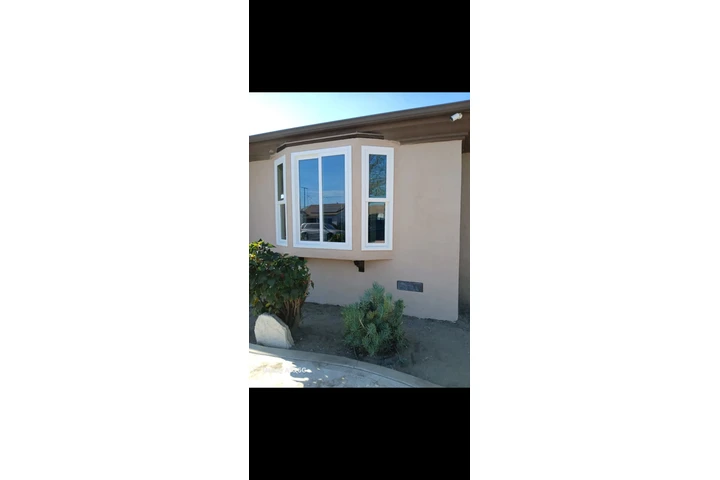 Pongo tile y Drawbll image 4