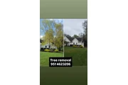 Tree removal TREE SERVICE thumbnail