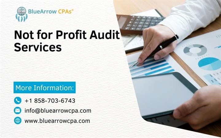 Not-for-Profit Audit Services image 1