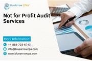 Not-for-Profit Audit Services en San Diego