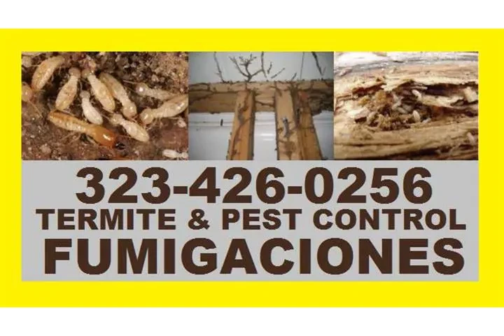 👉PROTEGE TU HOGAR DE TERMITAS image 5