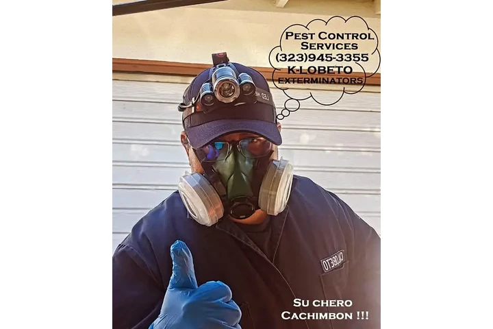 BEST EXTERMINATORS LOS ANGELES image 2