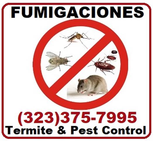 FUMIGADORES PROFESIONALES 24/7 image 4