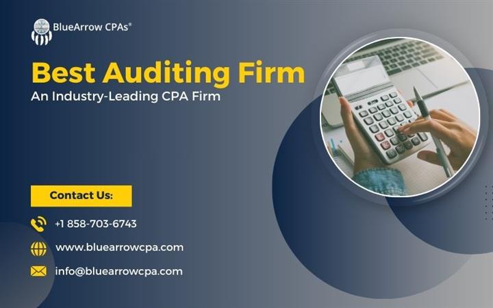 Best auditing firm | BAI image 1