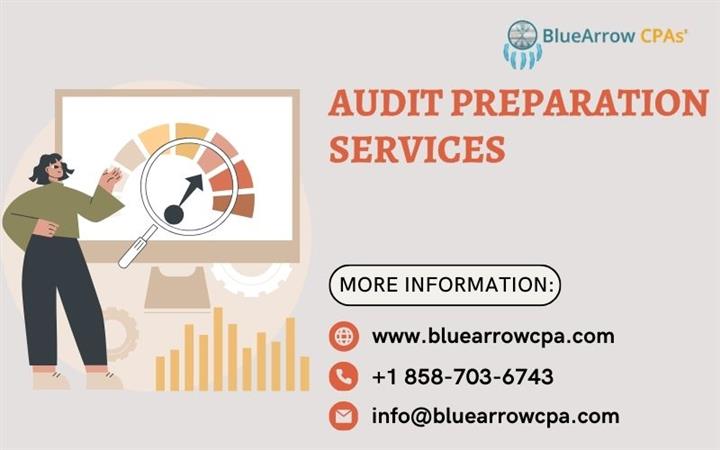 Audit Preparation Services image 1