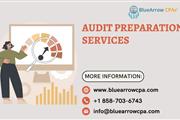 Audit Preparation Services en San Diego