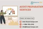 Audit Preparation Services