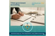 Tribal government accounting en San Diego