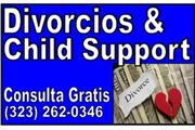 █► CUSTODIAS Y CHILD SUPPORT thumbnail