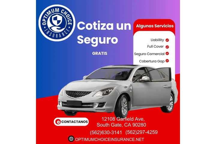 AUTO INSURANCE Y REGISTRACION image 1