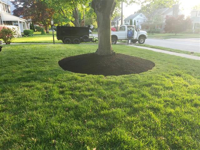 Landscaping Services image 5