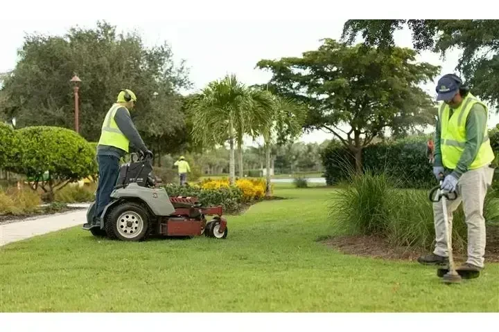 JARDINERÍA Y LANDSCAPING image 1