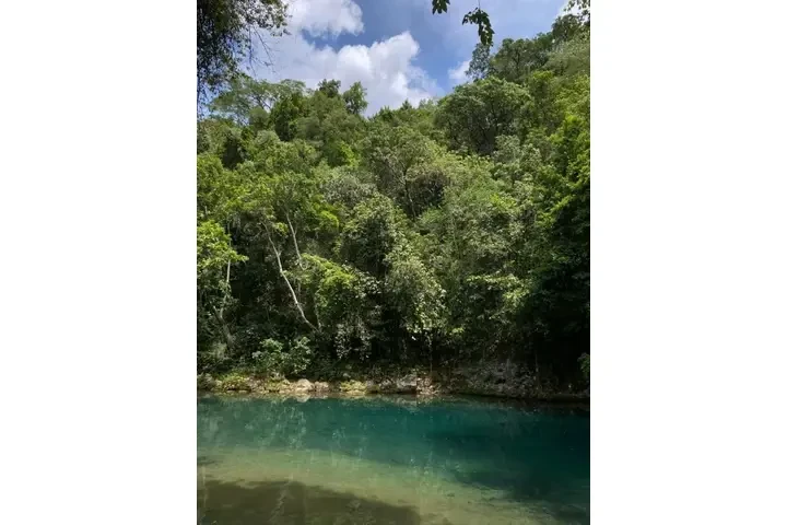 🔮✨ ANCIANO INDIO DEL AMOR 🔮✨ image 6