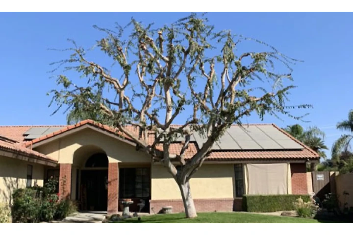 Central Valley Tree Service image 4