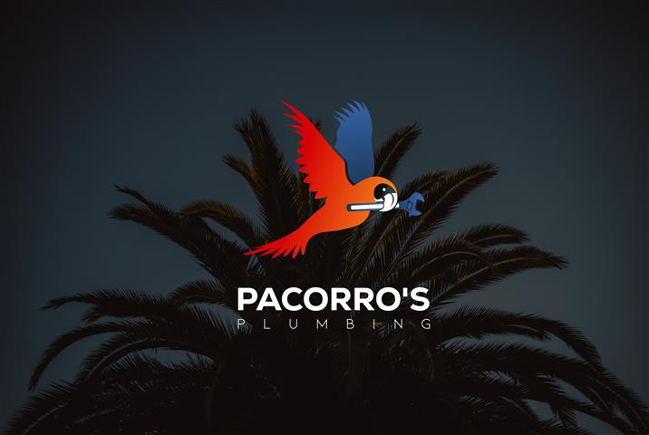 Pacorro's Plumbing image 1