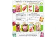 ¿TIENE PROBLEMAS DE SALUD? en San Bernardino