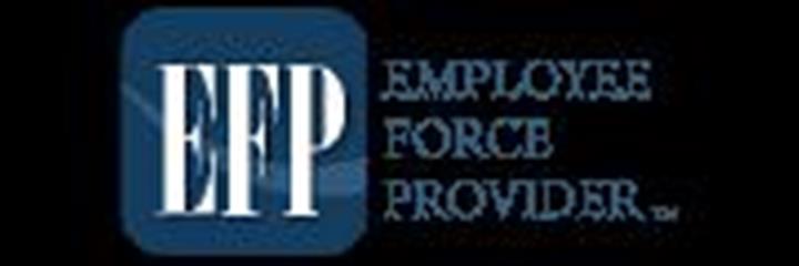 Employee Force Provider image 1