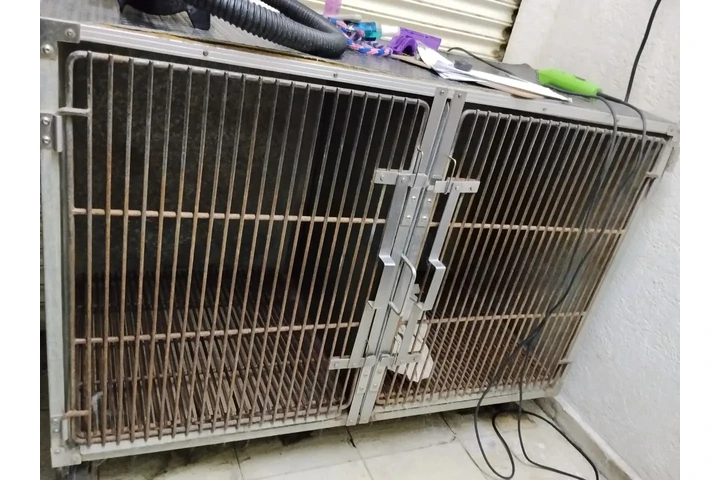 $60000 : Equipo para baño de perros image 1