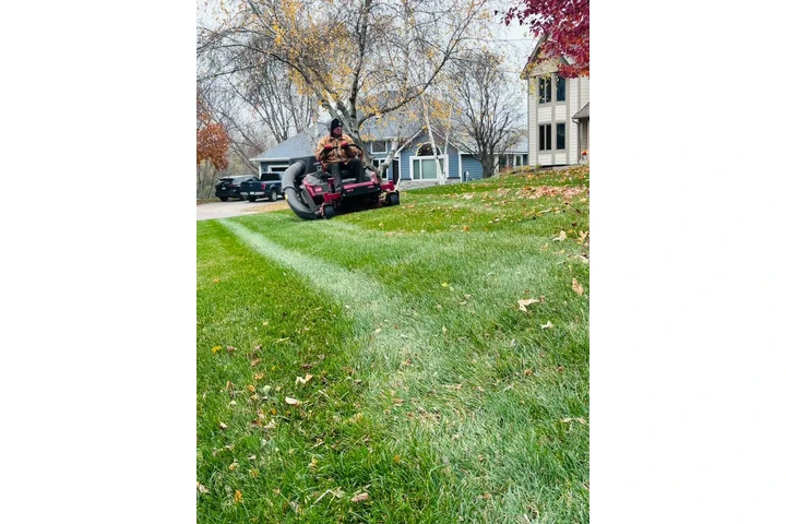 M & Sons Lawn And Landscaping image 6