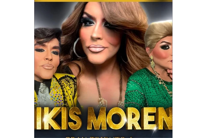 Show de imitadores image 5