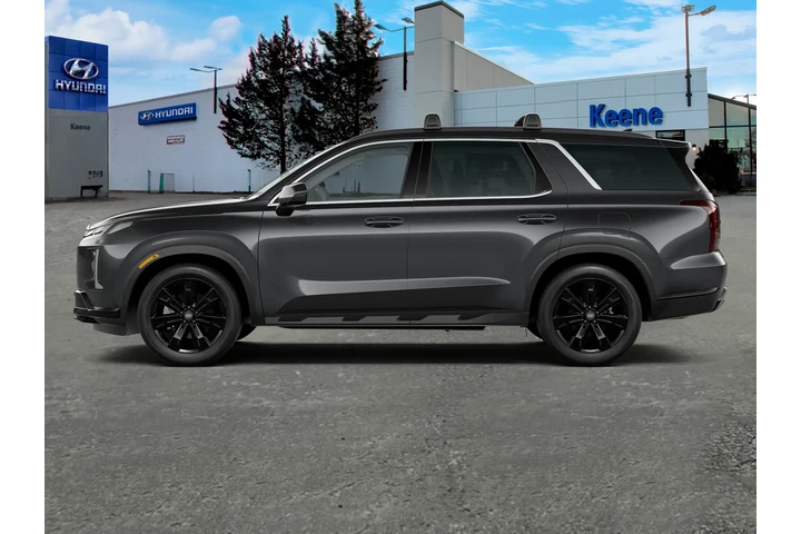 $33995 : Hyundai PALISADE 2023 AWD XR image 3