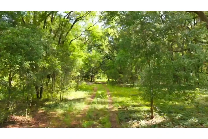 80 acres A10 MINUTOS DE TOD0 image 2