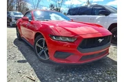 Ford Mustang 2024 EcoBoost P en Vineland