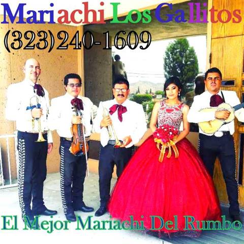 Mariachi For Hire image 1
