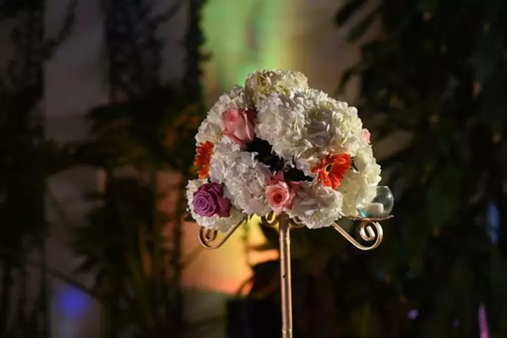 Eventos Marybeb image 10