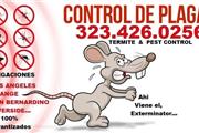 MANTENIMIENTO/CONTROL DE PLAGA thumbnail