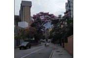YES LOS RUICES. DIRECTO DUEÑOS en Caracas