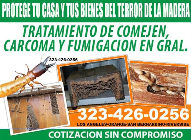 TERMITES ORANGE COUNTY 24/7.- image 1