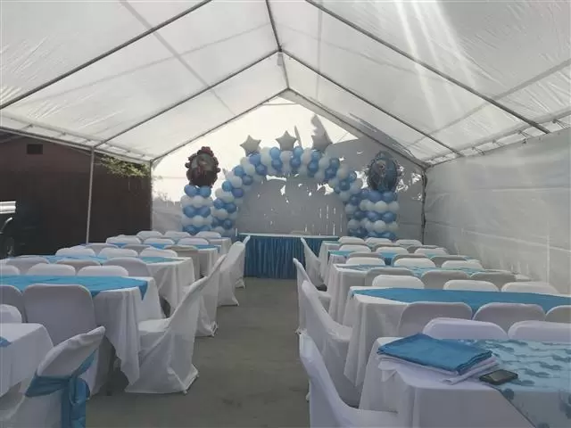 Decoración telas globos toro image 3