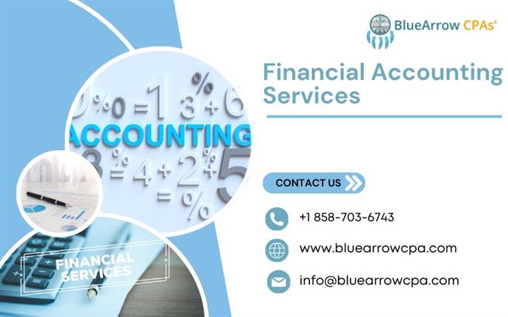 Financial Accounting Services image 1