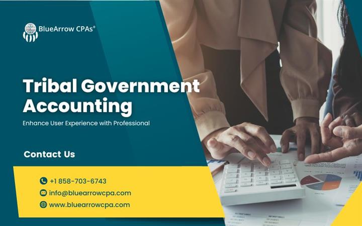 Tribal Government Accounting image 1