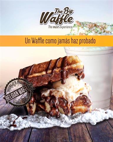 the big waffle image 5