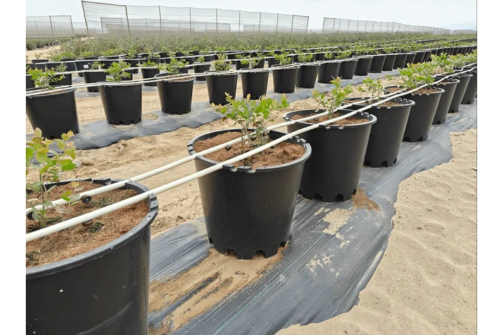 $2000 : Naturehydro Macetas Plásticas image 1