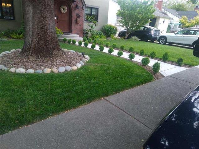 Amazing landscaping services! image 4