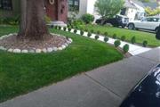 Amazing landscaping services! thumbnail