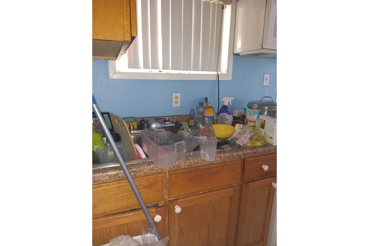 SHINE AND SPARKLE image 2